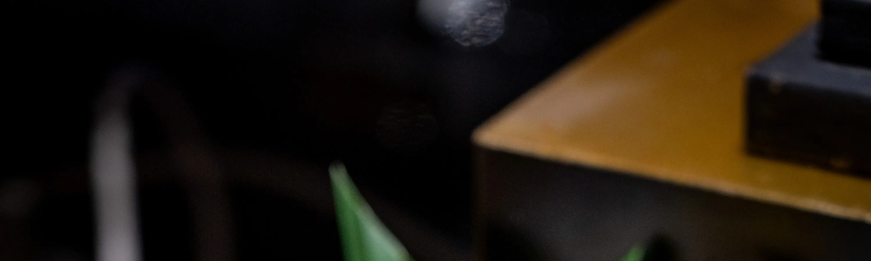 自助晚餐美食推广